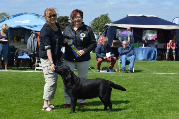 13418915_10153614755032409_6449233447586644219_n[1]