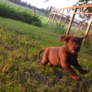 Ja, här kommer vi...