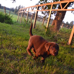 finns inga hinder för vår framfart.