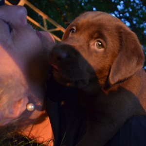 Inte ens en fotograf...