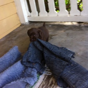 Tyckte nog matte placerat denna matta fel…