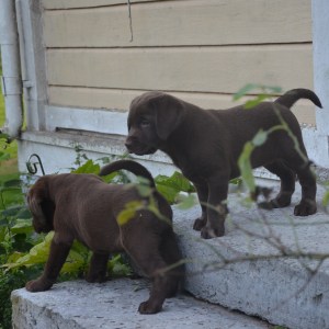 …och vem sa att man INTE får gå i trappor.