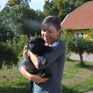 …och så kom efterlängtade matte. Cesar Julius åker till Småland.