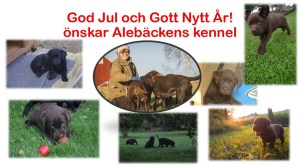 Den fina bilden i mitten är tagen av fotografen Johan Bring, https://www.facebook.com/BringItOnMedia