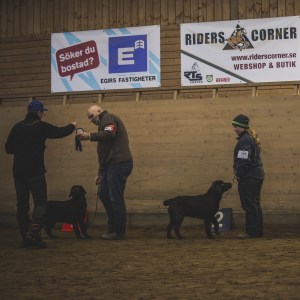 Mjölby februari 2014