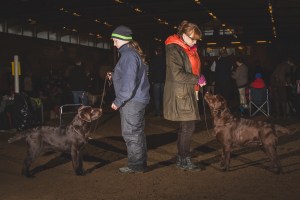 Alice och Carl Gustaf i Mjölby febr 2014