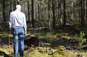 veterinär Kungsbacka 081