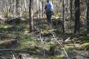 veterinär Kungsbacka 085