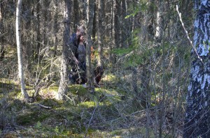 veterinär Kungsbacka 096