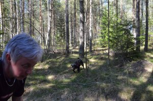 veterinär Kungsbacka 112