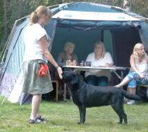 10551083_10152269938097409_2375970208221945788_n[1]