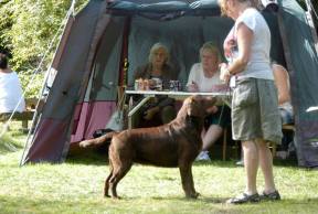 10599691_10152269938872409_7584645305175040773_n[2]