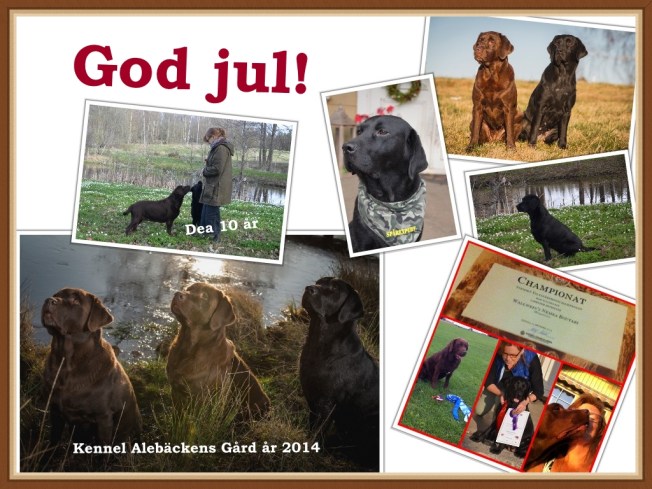 Alebäckens kennel  julkort org