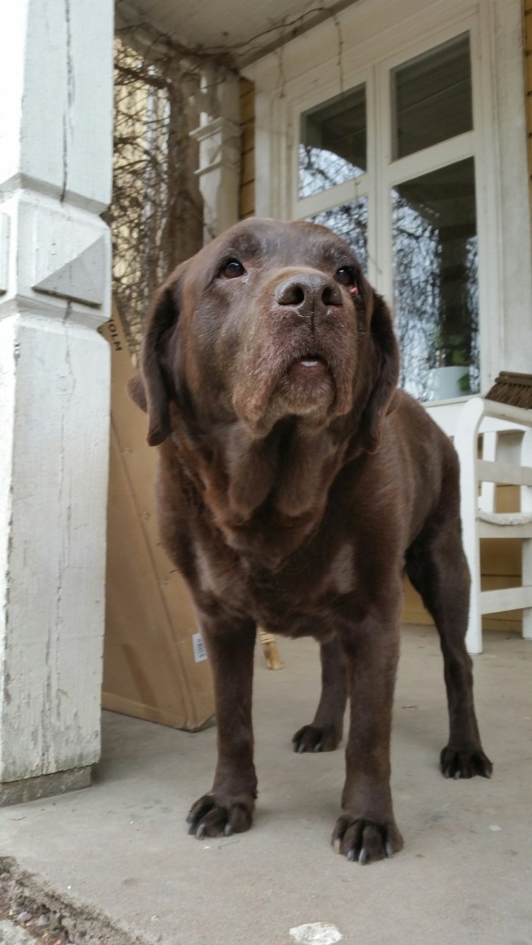 20160518_145704_resized