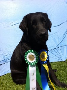 13494871_10210270208176519_8331727990609714022_n[1]