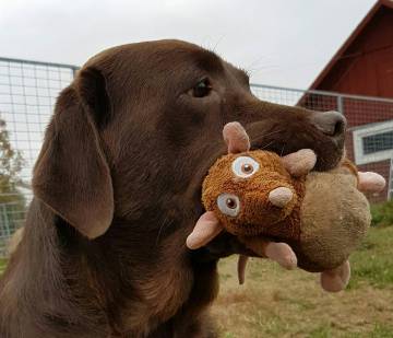 resized_20161022_131105