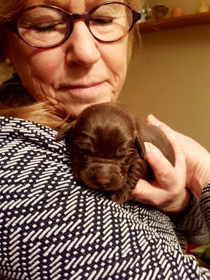 26856773_10215837246350346_376155966_n