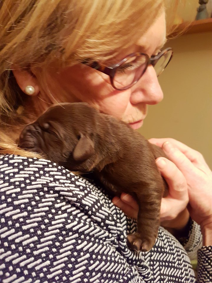 26943222_10215837247590377_1121879301_n